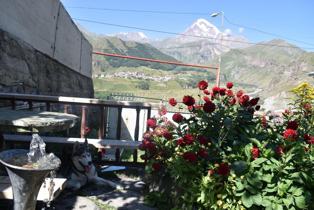 Qusha Guesthouse Meeting In The Mountains And Views 卡兹贝吉 外观 照片