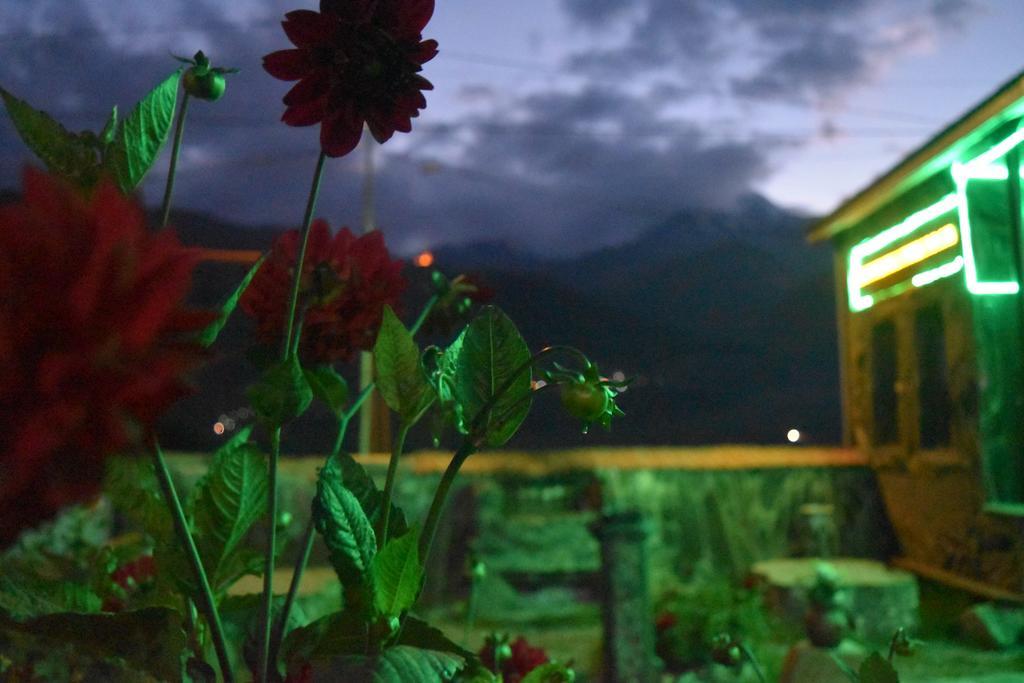 Qusha Guesthouse Meeting In The Mountains And Views 卡兹贝吉 外观 照片