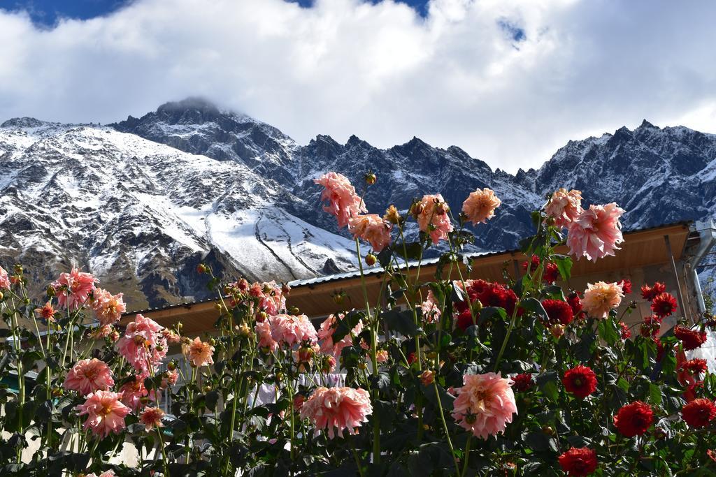 Qusha Guesthouse Meeting In The Mountains And Views 卡兹贝吉 外观 照片